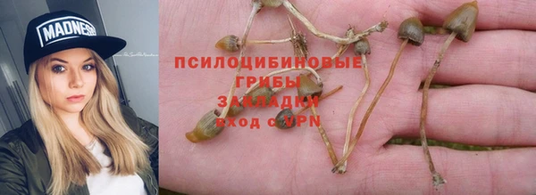 круглые Новодвинск