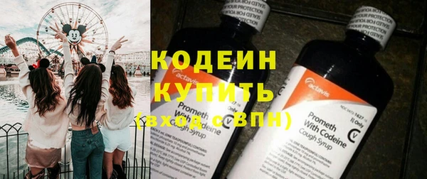 амф Новозыбков