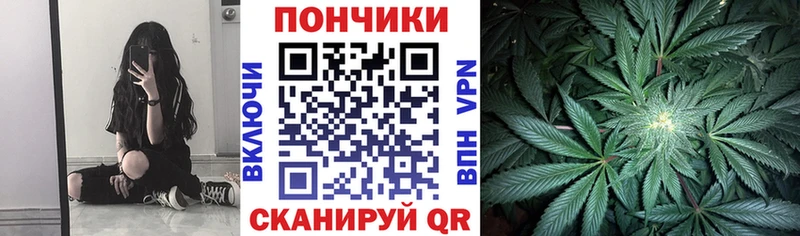 купить наркотики сайты  Юрьев-Польский  МАРИХУАНА конопля 